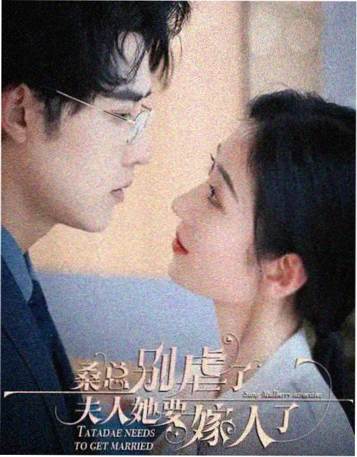 剧集巷口字幕组档案封面